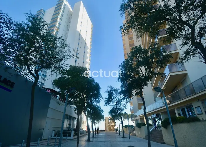 Elypalace 10-3 شقة بلاتجا ذارو